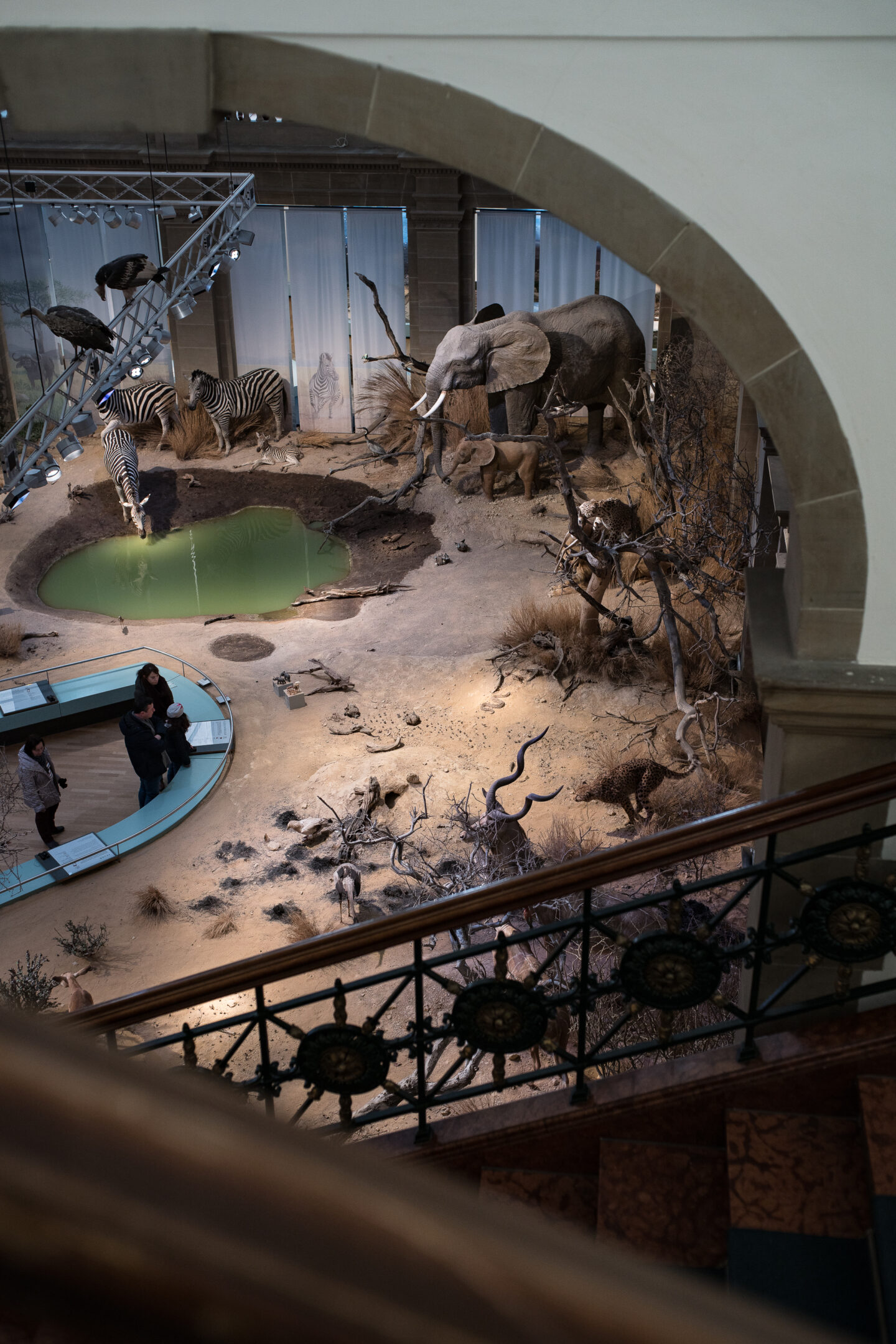 Karsten Rohrbeck: Studiis Zoologicis (13/17)