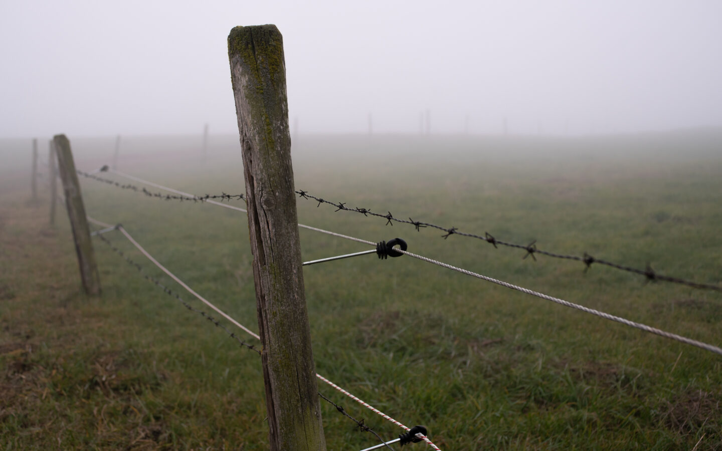 Karsten Rohrbeck: November-Nebel in NRW (5)