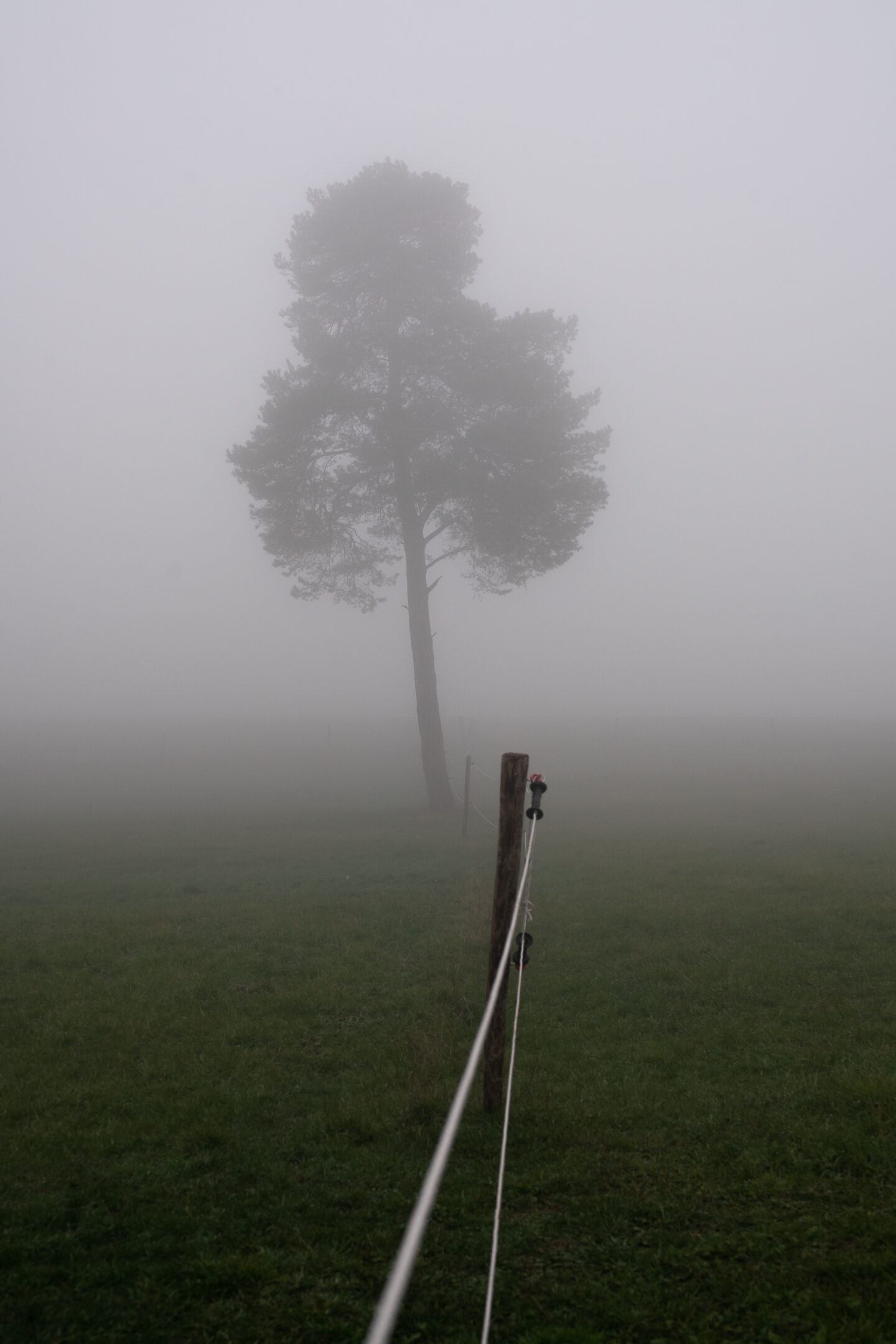 Karsten Rohrbeck: November-Nebel in NRW (6)