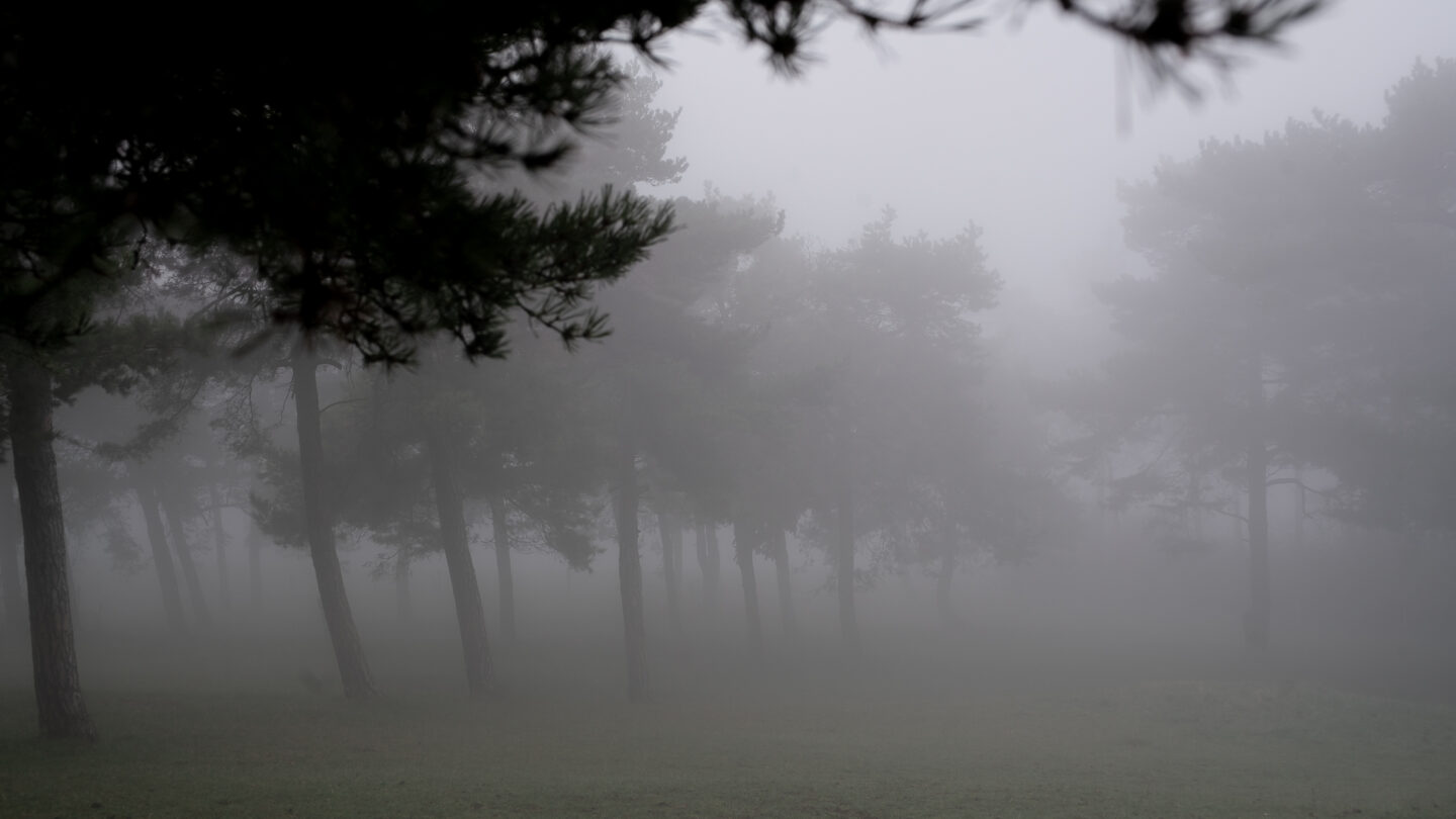 Karsten Rohrbeck: November-Nebel in NRW (7)