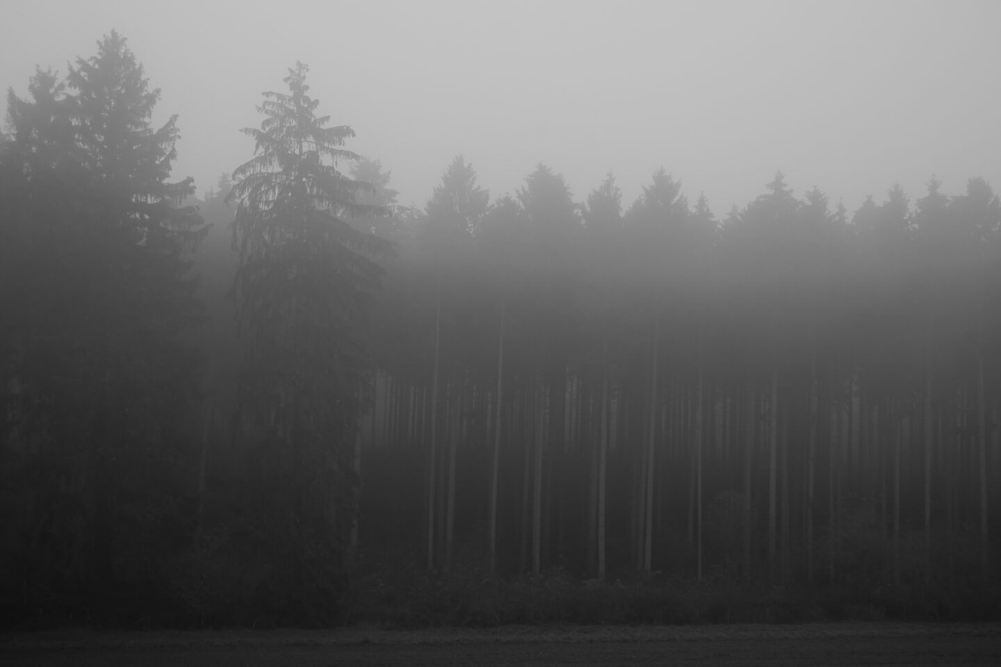 Karsten Rohrbeck: November-Nebel in NRW SW (1)