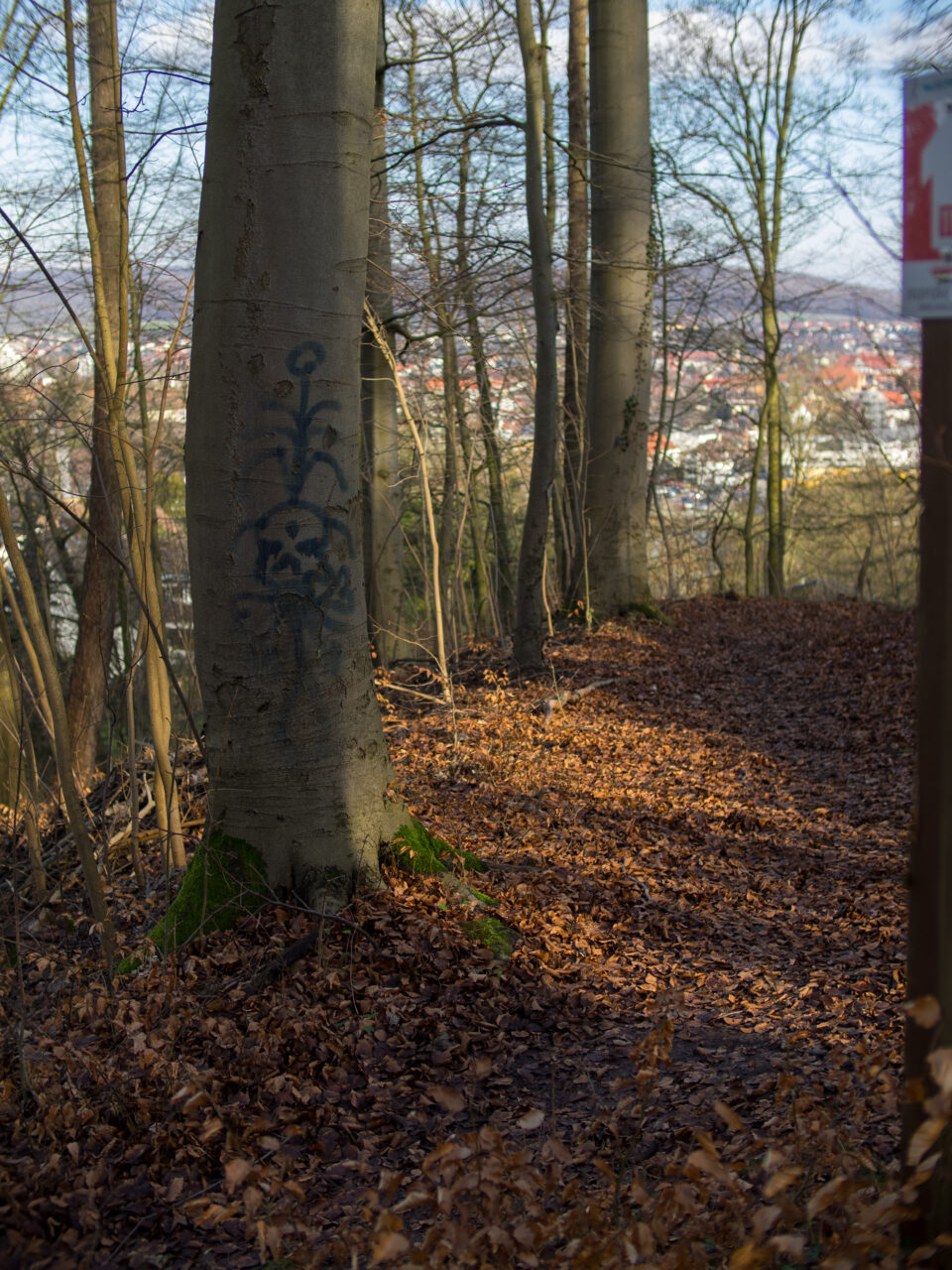 Karsten Rohrbeck: Auf dem Philosophenweg zum Klüth (Bild 4/16)