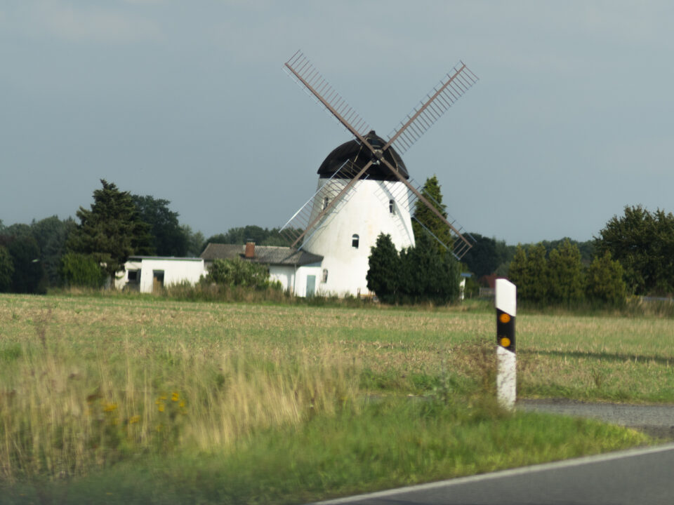 Karsten Rohrbeck: Heide Urwald 4