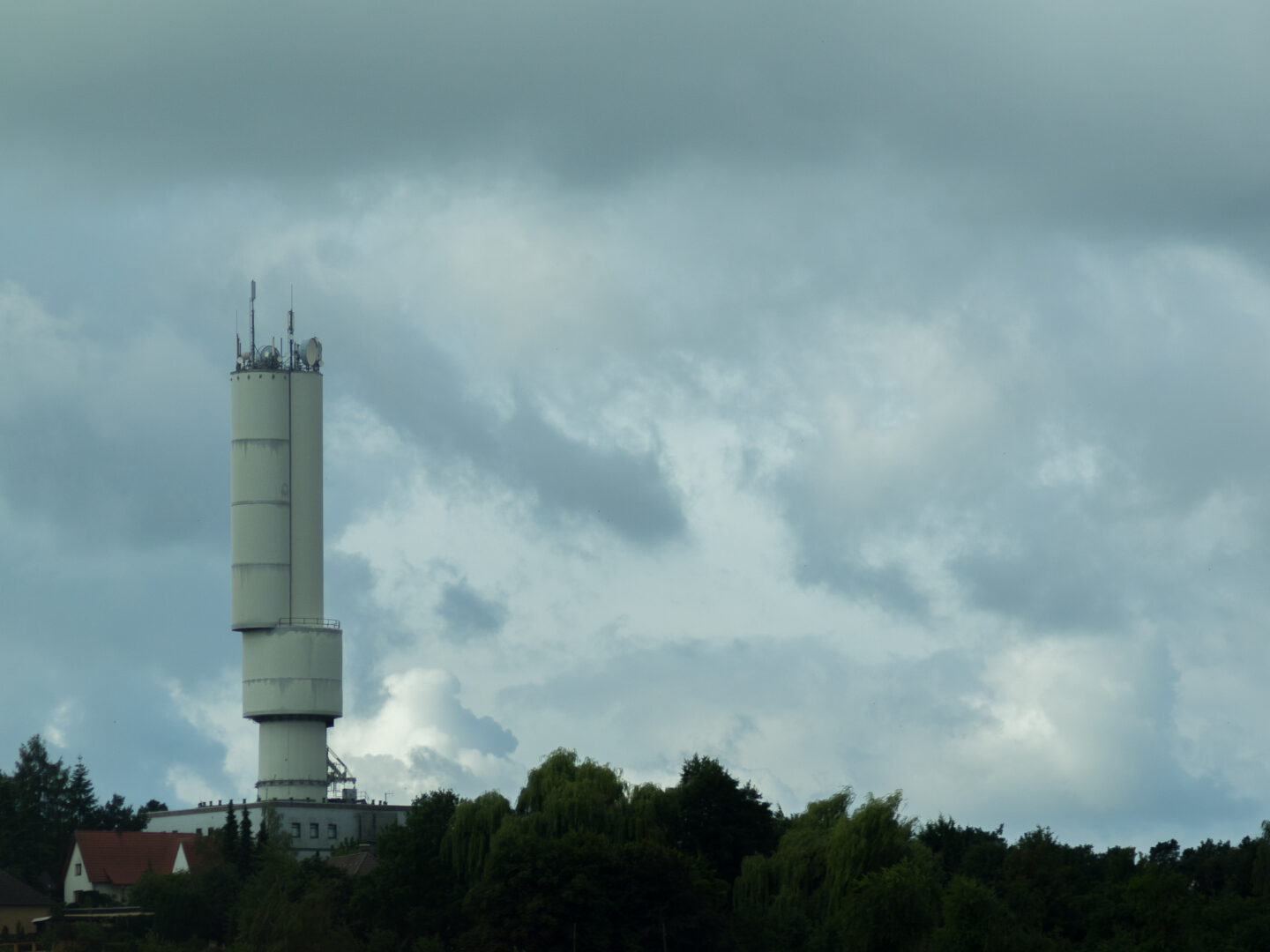 Karsten Rohrbeck: Heide Urwald 1