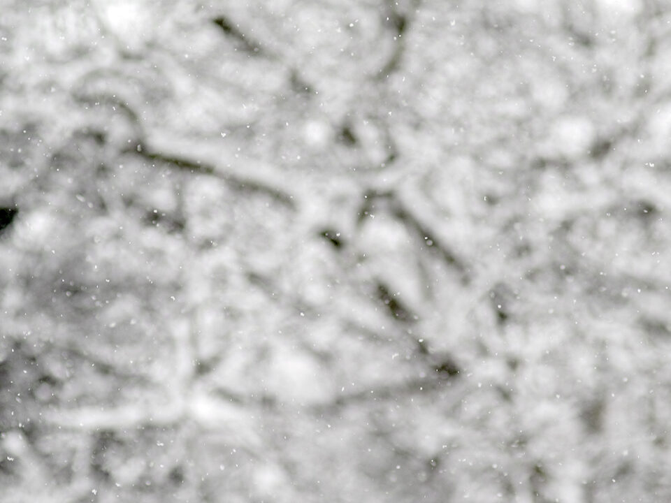Karsten Rohrbeck: Schnee, Januar 2015, Äste unscharf + Schnee scharf (1/2)