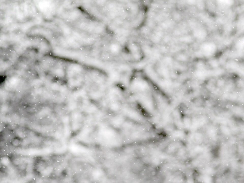 Karsten Rohrbeck: Schnee, Januar 2015, Äste unscharf + Schnee scharf (1/2)