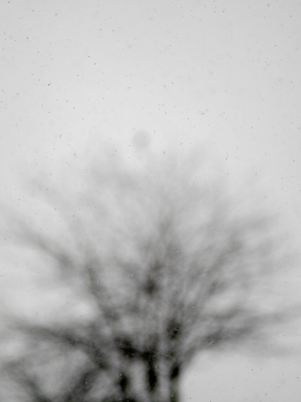 Karsten Rohrbeck: Schnee, Januar 2015, unscharf, Geäst unscharf im Hintergrund