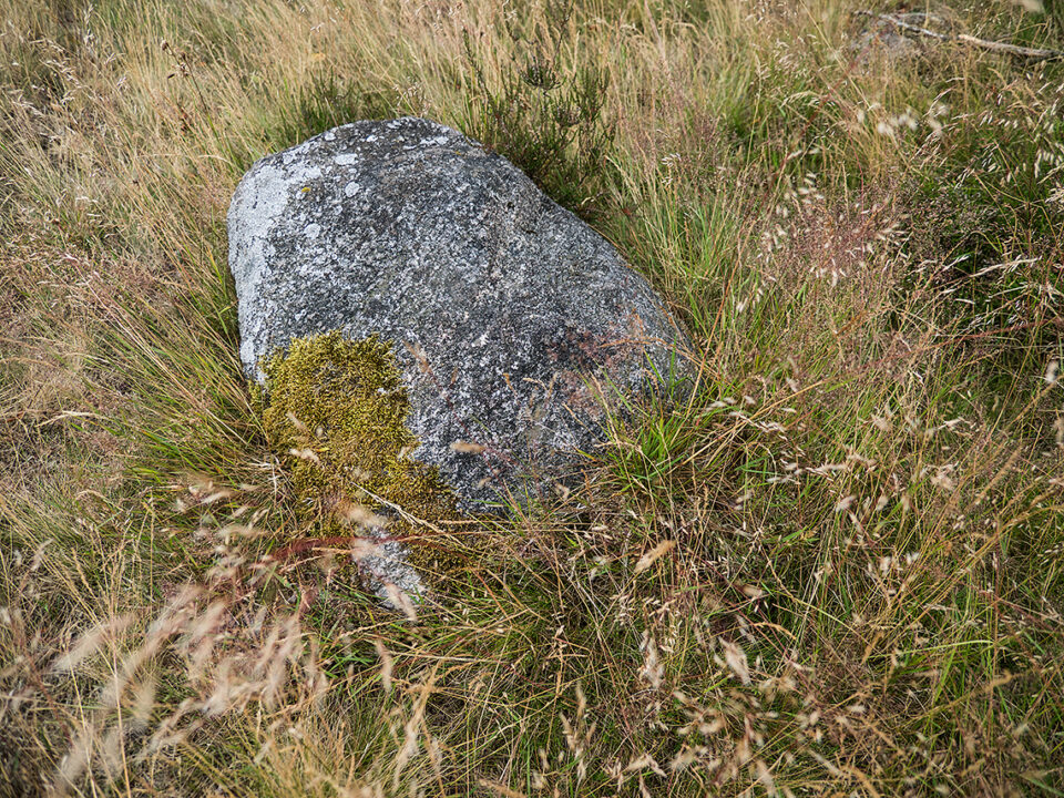 Karsten Rohrbeck: Teufelsheide (Detail VI, Stein)
