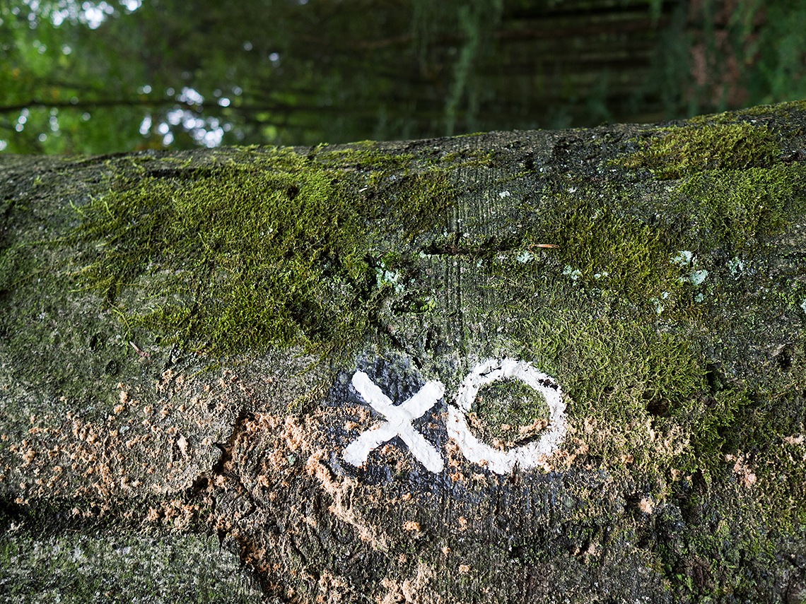 Karsten Rohrbeck: XO – Baum-Markierung im Wald um Bensberg